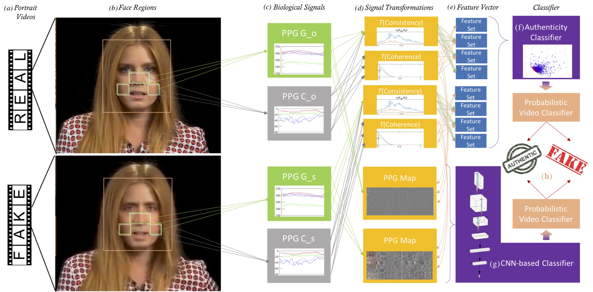 Figure 31